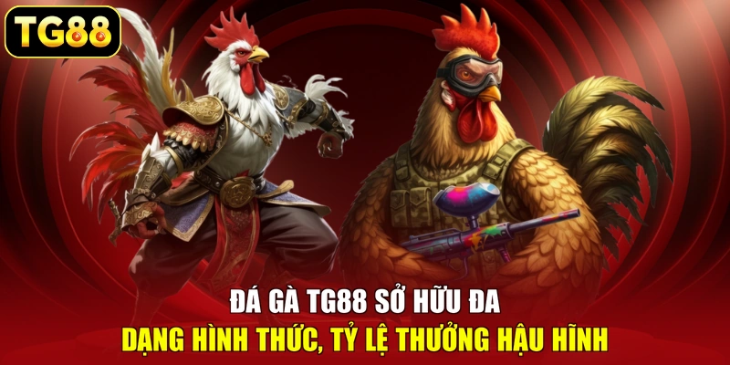 Đá gà TG88 sở hữu đa dạng hình thức, tỷ lệ thưởng hậu hĩnh Đá gà TG88 sở hữu đa dạng hình thức, tỷ lệ thưởng hậu hĩnh