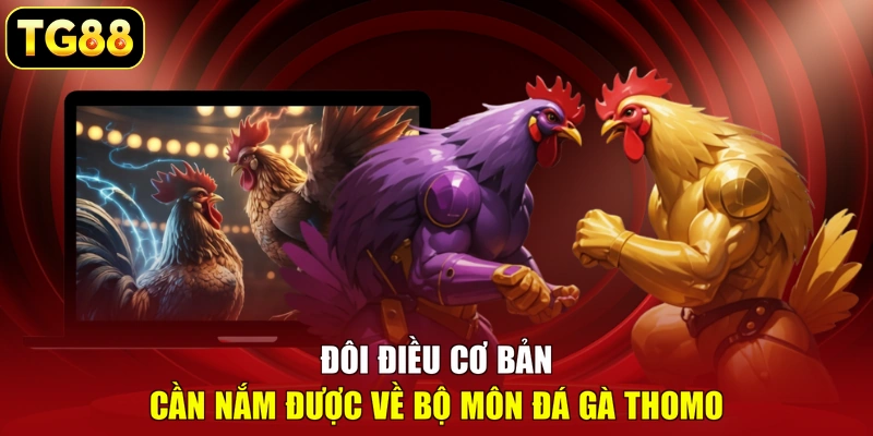 Đôi điều cơ bản cần nắm được về bộ môn đá gà Thomo Đôi điều cơ bản cần nắm được về bộ môn đá gà Thomo