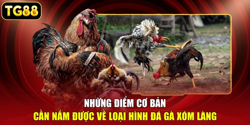 Những điểm cơ bản cần nắm được về loại hình đá gà xóm làng Những điểm cơ bản cần nắm được về loại hình đá gà xóm làng