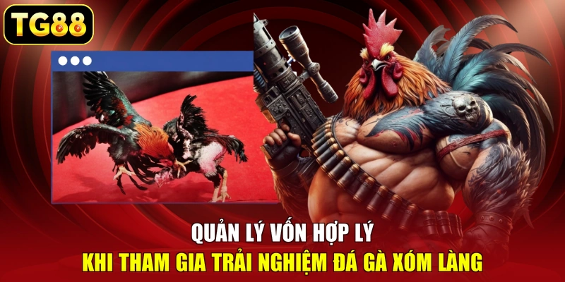 Quản lý vốn hợp lý khi tham gia trải nghiệm đá gà xóm làng Quản lý vốn hợp lý khi tham gia trải nghiệm đá gà xóm làng